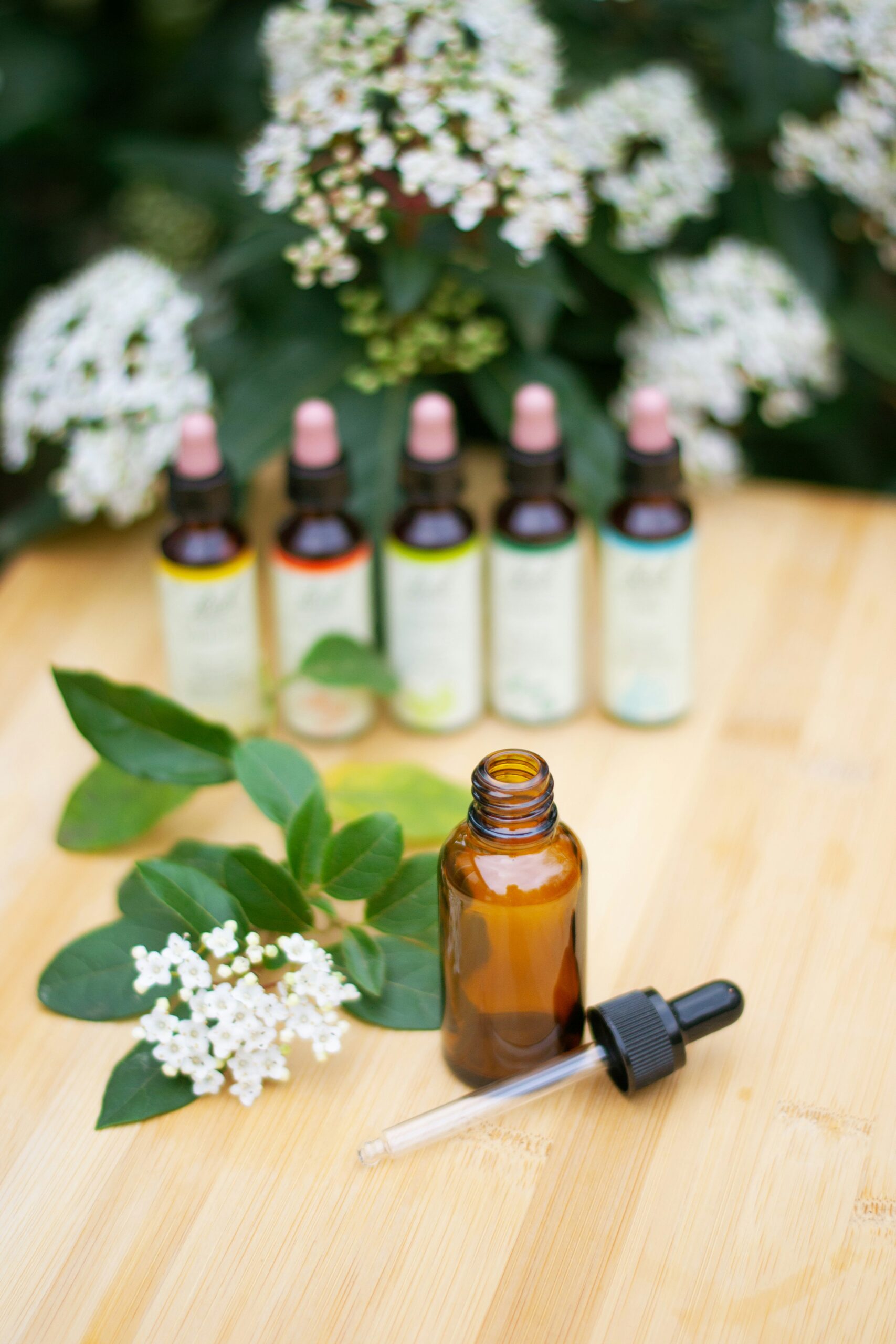 east tennessee homeopath children pediatrics