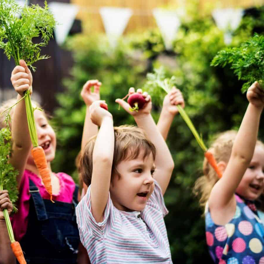 homeschool-farm-school-johnson-city-tn